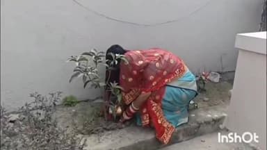 बंजरिया: बंजरिया के खैरी में हुई दहेजमुक्त शादी, लड़की के पिता ने बेटी को दिया आम का पेड़