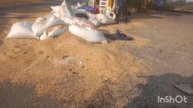 महुआडांड़: महुआडांड़ में संत जेवियर महाविद्यालय के पास धान से लदा पिकअप पलटा, कोई हताहत नहीं