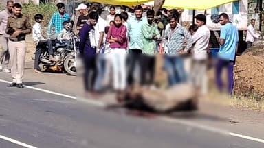 रतलाम: अभिनंदन होटल के पास गाड़ी के सामने आया घोड़ा, डिवाइडर पर चढ़ी गाड़ी, घोड़ा घायल