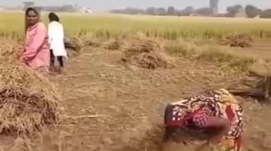 मुगलसराय: नियमताबाद के 12 गांवों में बाढ़ से फसलें हुईं बर्बाद, जिला प्रशासन और सरकार से मुआवजे की मांग