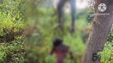 সাঁতুড়ি: প্রেমের সম্পর্ক পরিবার না মানায় অভিমানে যুগলের আত্মহত্যা পুরুলিয়ার সাঁতুড়িতে, চাঞ্চল্য