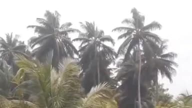 తుఫాన్ ప్రభావం జిల్లాలో రైతుల ఆందోళన