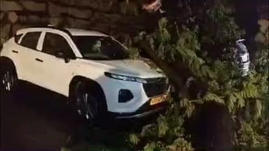 ముక్కంటి ఆలయ కార్ పార్కింగ్ లో కార్లపై పడ్డ చెట్టు కొమ్మలు, తప్పిన ప్రమాదం