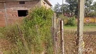 बहरी: प्राथमिक शाला भदौरा के मार्ग पर अतिक्रमण से छात्र परेशान