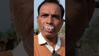 एस आई आर करने को लेकर बीएलओ ने बताई समस्या #highlights #news