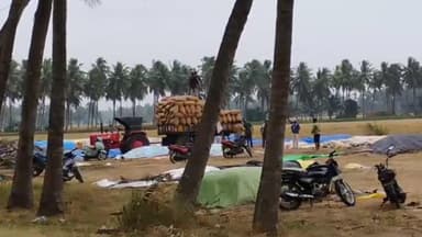 ఆచంట: తుఫాన్ ప్రభావంతో మండలంలో వరి రైతుల ఆందోళన, ధాన్యం రక్షణకు జాగ్రత్తలు