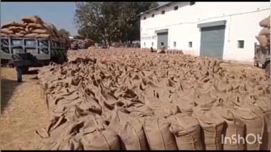 मझोली: मझौली में 1 दिसंबर से धान खरीदी का काम शुरू होगा, ज़िला कलेक्टर ने अधिकारियों को दिए निर्देश