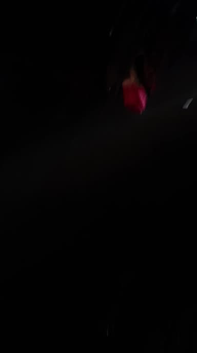 DJ पर कोरोक के बाद भी डीजे का फुल उपयोग किया जा रहा है