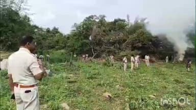 ସୋରଡା: ସୋରଡ଼ା ନିର୍ବାଚନ ମଣ୍ଡଳୀ ର ପିଲିପଦର ଓ ତୋରାଣି ପାଣି ଅଞ୍ଚଳ ରେ ବେଆଇନ ଭାବେ ୧୨୦୦୦ ଗଞ୍ଜେଇ ଚାଷ କୁ ନଷ୍ଟ କରିଛି ଜିଲ୍ଲା ପୋଲିସ