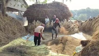 মঙ্গলকোট: মঙ্গলকোটে জোরকদমে শুরু হয়েছে আমন ধান ঝাড়াইয়ের কাজকর্ম, সরকারি সহায়ক মূল্যে ধান বিক্রির লক্ষ্যে তৎপরতা তুঙ্গে