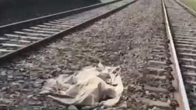 सकलडीहा: सकलडीहा रेलवे स्टेशन पर ट्रेन से कटकर एक साधु की मौत, हादसा स्टेशन पर चढ़ते समय हुआ