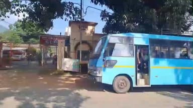 ବାଲିଗୁଡା: କନୁଆଗାଁ କୁଡୁତୁଲି ପଞ୍ଚାୟତ ରୁ ଡପାରି ଗାଁ ବୁଡାବାଲି ଜଙ୍ଗଲ ରୁ 47ଏକର ଗଞ୍ଜେଇ ଗଛ କୁ କାଟି ନଷ୍ଟ କରିଛନ୍ତି