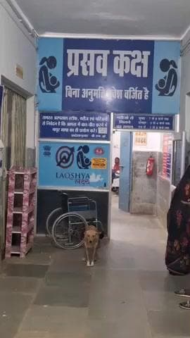 बड़वारा: बड़वारा: अस्पताल में नाबालिग युवती ने बच्चे को जन्म दिया, लेने से इनकार, पुलिस जांच में जुटी