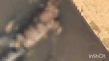 गुरुग्राम: व्यक्ति की हत्या कर शव नाले में फेंका, मुंह पर कपड़ा बंधा मिला, गर्दन में घुसा था तेजधार हथियार