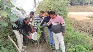 सगड़ी: जिले के ग्रामीण सफाई कर्मी शादी-विवाह या मांगलिक कार्यक्रम में निमंत्रण की जगह पौधा भेंट करके निभाते हैं फर्ज