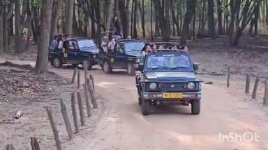 बिछिया: कान्हा नेशनल पार्क में 1 दिसंबर से नाइट सफारी बंद: सुप्रीम कोर्ट के आदेश का पालन