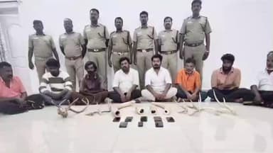 காளையார்கோவில்: காளையார் கோவில் அருகே யானை தந்தம் கடத்தியதாக எட்டு பேர் கைது