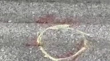 વટવા: પત્ની સાથે ઝઘડા બાદ માથાફરેલા પતિનું ધડાધડ 6 રાઉન્ડ ફાયરિંગ