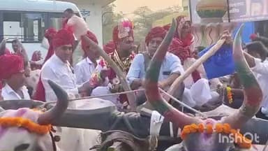 सिरोही: पिंडवाड़ा में 10 बेलगाड़ियों की बारात से जीवंत हुई मारवाड़ की पुरातन परंपरा