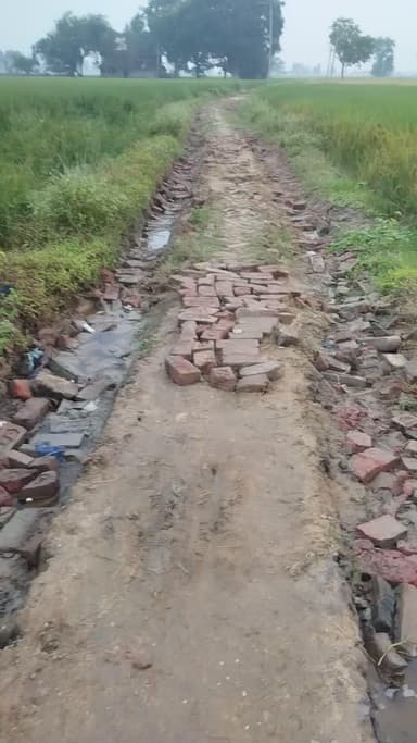 gram Usina me road ka dasa dekh sakte ho kya hal hua hai !! gram panchayat thorsan ke mukhiya, Dabalu Sah ji or sarpanch