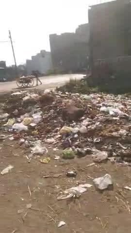 Sankar pur magrda me sadak kinare kacra fekte he log janta pareshan