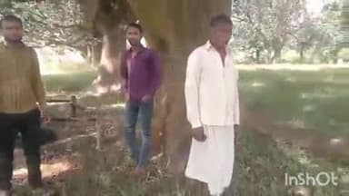 जैतपुर: अमलाई के देवरी में खेत में रखे बिस्तर में लगाई आग, पुलिस ने शुरू की जांच, जमीनी विवाद सामने आया