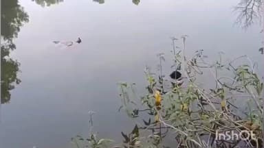 जनकपुर थाना क्षेत्र के बैगापारा स्कूल के पास तालाब में मिला पति-पत्नी का शव, इलाके में मचा हड़कंप