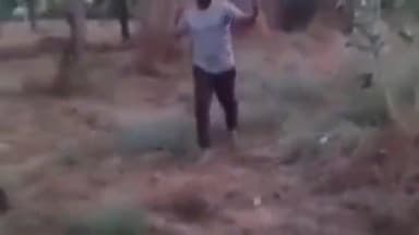 धोरीमन्ना: धोरीमना पुलिस थाना इलाके में सोशल मीडिया पर वायरल हुए वीडियो में कुछ लोग महिला के साथ कर रहे मारपीट