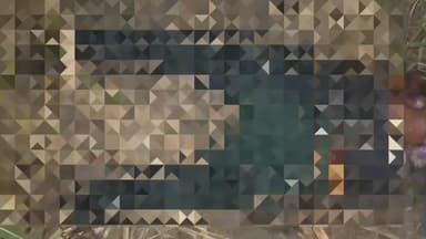 शाहबाद: बेहटा कोला गांव में गन्ने के खेत में मिला अज्ञात युवक का शव, क्षेत्राधिकारी और प्रभारी निरीक्षक ने मौके पर किया मुआयना