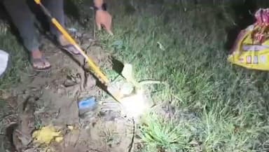 पाकुड़: पुराने कुँए से रेस्क्यू करने गए कोबरा साँप ने टीम के सदस्य को सांप ने ही काटा #pakur #snake #resque