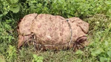 ठाकुरद्वारा: भगतपुर भवानीपुर में युवक की हत्या कर लाश जंगल में फेंकी, प्लास्टिक की पल्ली में गठरी बांधकर फेंका; दुर्गंध उठी