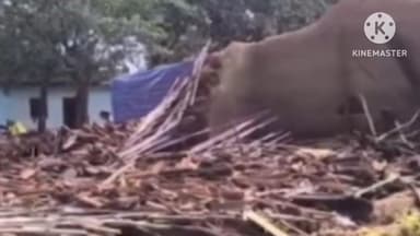 सोनाहातु: सालसुदा गांव की बुजुर्ग महिला सरकारी आवास योजना के लाभ से वंचित