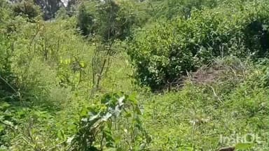 அன்னூர்: கோவை மாவட்டத்தின் ஊரக பகுதிகளில் நீர் வழித்தடங்களை பராமரிக்கவில்லை விவசாயிகள் குற்றச்சாட்டு