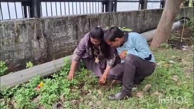 ચોરાસી: કતારગામ ખાતે મહિલા પોલીસ સ્ટેશન નજીક જીવ દયા અને પોલીસ દ્વારા વૃક્ષારોપણનું કાર્યક્રમનું આયોજન કરવામાં આવ્યું હતું.