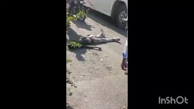 मनावर: मनावर के सिंघाना मार्ग पर सड़क हादसे में बाइक सवार युवक गंभीर रूप से घायल