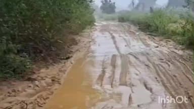 उंटारी रोड: पलामू: उंटारी रोड प्रखंड में कुलही मेन रोड से करकटा जाने वाली सड़क बारिश में बनी दलदल, लोग परेशान