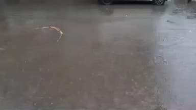 पिड़ावा: पिड़ावा क्षेत्र में 3 दिन बाद फिर शुरू हुआ बारिश का दौर, किसी को फायदा तो किसी के लिए मुसीबत