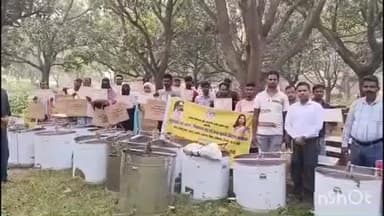 बरहरुवा: बरहरवा में मधुमक्खी पालन से आर्थिक विकास की नई शुरुआत, 20 किसानों को मिला प्रशिक्षण व उपकरण