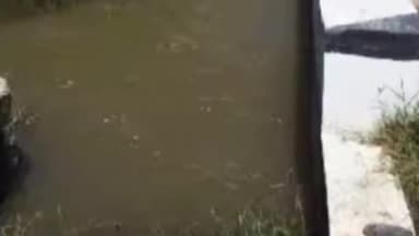 வாலாஜா: ராணிப்பேட்டை மாவட்டத்தில் உள்ள கம்பன் கால்வாயில் ஏற்பட்டுள்ள உடைப்பை சரிசெய்ய விவசாயிகள் கோரிக்கை