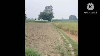 मेजा: टेसहिया का पूरा में स्कूल तक सड़क नहीं, बच्चे खेतों की पगडंडियों से पहुंचने को मजबूर, वीडियो आया सामने