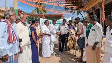 ಹಡಗಲಿ: ಕೊಂಬಳಿ ಗ್ರಾಮದಲ್ಲಿ 8 ನೇ ಸುತ್ತಿನ ಕಾಲುಬಾಯಿ ರೋಗ ಲಸಿಕಾ ಅಭಿಯಾನಕ್ಕೆ ಚಾಲನೆ ನೀಡಿದ, ಶಾಸಕ ಕೃಷ್ಣ ನಾಯ್ಕ್