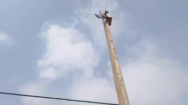 मांडर: सोसाई आश्रम में चार खंभों से बिजली के तार चोरी, गांव में छाया अंधेरा