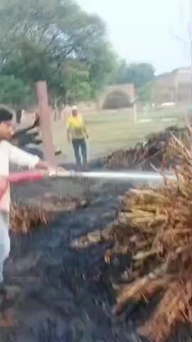 नदबई: नदबई क्षेत्र के गांव बछामदी में 34 बीघा कड़बी जल गई