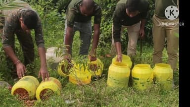 নিতুড়িয়া: নিতুড়িয়ার একাধিক গ্রামে আবগারি দফতর অভিযান চালিয়ে চোলাই মদ ও ৩০০লিটার তরল বাজেয়াপ্ত করল