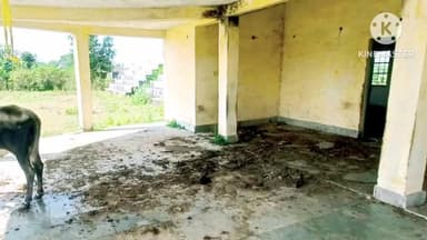 रैपुरा: रैपुरा का खेल मैदान बदहाली की कगार पर, खिलाड़ियों ने तहसीलदार से लगाई गुहार