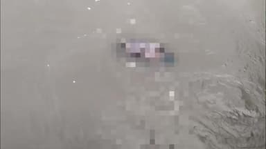 ଧରାକୋଟ: ପଥରପୁଞ୍ଜି ଉସ୍ତା କେନାଲରେ ଅଜଣା ମୃତଦେହ