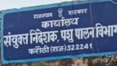 मण्डरायल: गढी का गांव में लंपी बीमारी से एक गाय की मौत, पशुपालन विभाग बेखबर, क्षेत्र में संक्रमण फैलने की आशंका