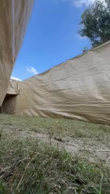 अवंतिपुर बड़ोदिया: दक्षिण अफ्रीका की टीम ने 163 कृष्णमृगों को पकड़ा, किसानों ने ली राहत की सांस, फसल का नुकसान अब नहीं