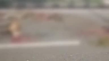 వెంకటాపుర్: మచ్చాపూర్ వద్ద గొర్రెల పై దూసుకెళ్లిన ఆర్టీసీ బస్సు, 5 గొర్రెలు మృతి