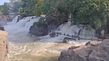 பென்னாகரம்: ஒகேனக்கல் காவிரி ஆற்றில் 6500 கன அடியாக நீர்வரத்து குறைந்துள்ளது